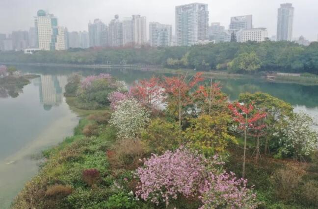 南寧美景