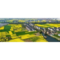 廣西征地社會(huì)穩(wěn)定風(fēng)險(xiǎn)評(píng)估應(yīng)該在哪個(gè)階段開(kāi)展工作？