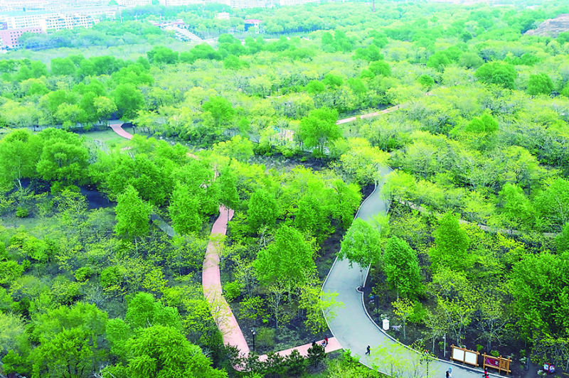 為什么要做占用林地可研報(bào)告