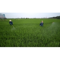 湖南土地整治項目申報立項應符合哪些條件？提交哪些材料？