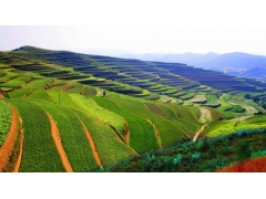 房地產(chǎn)項(xiàng)目水土保持監(jiān)測(cè)季度報(bào)告表資料清單_廣東專業(yè)水保編制