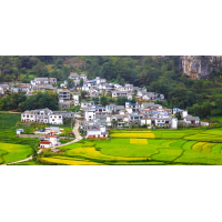農(nóng)村一二三產(chǎn)業(yè)融合發(fā)展項目是什么？廣東產(chǎn)業(yè)發(fā)展規(guī)劃