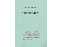 簡單來講，可行性研究報告是什么？哪個部門審批？廣西可行性研究報告工程師