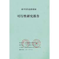 簡(jiǎn)單來(lái)講，可行性研究報(bào)告是什么？哪個(gè)部門審批？廣西可行性研究報(bào)告工程師